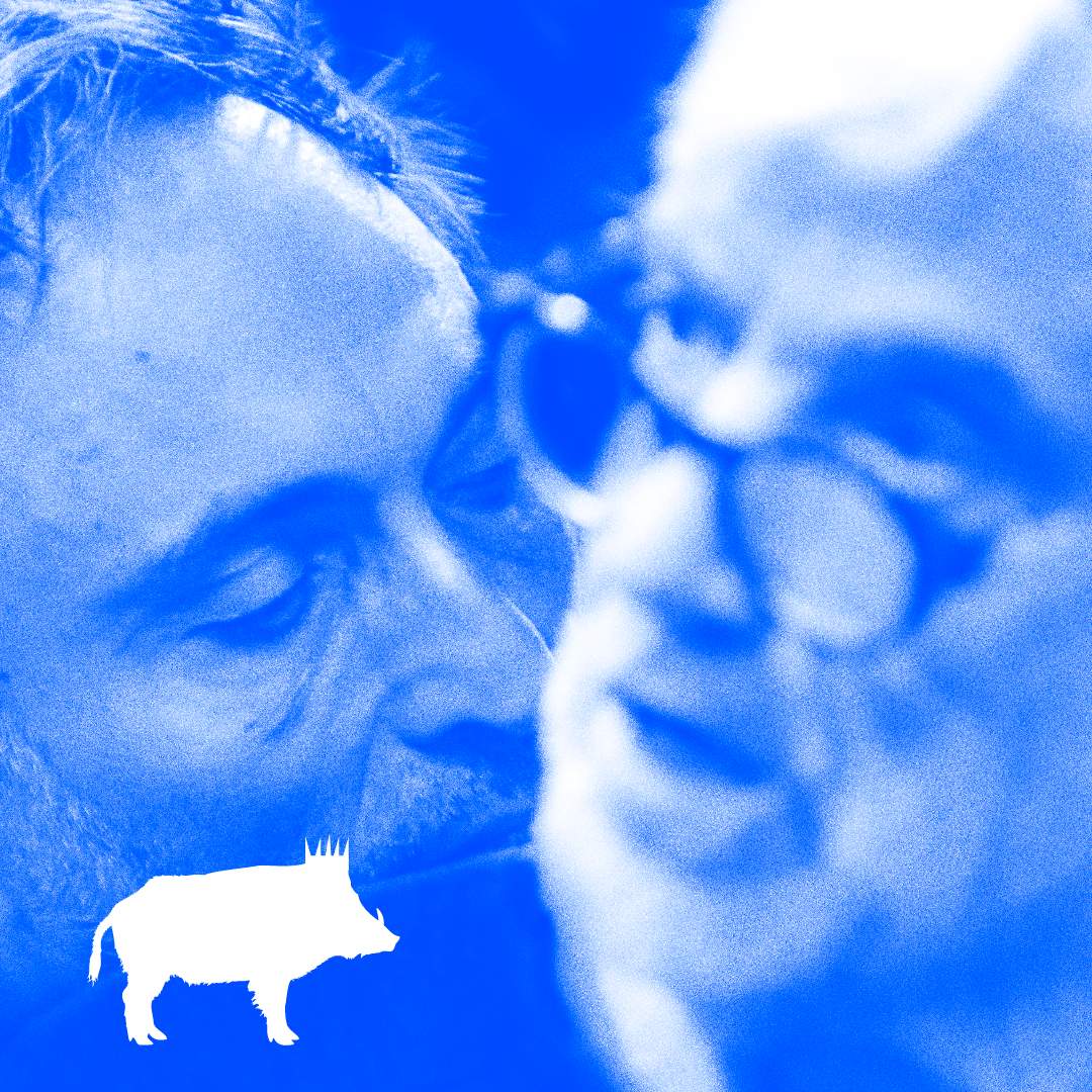 HISTORIA DE UN JABALI