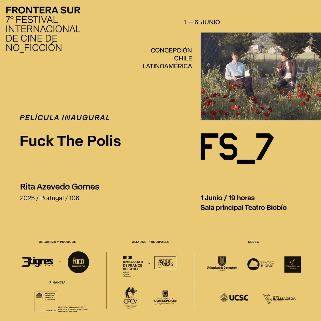 Fuck the polis: Festival Frontera Sur