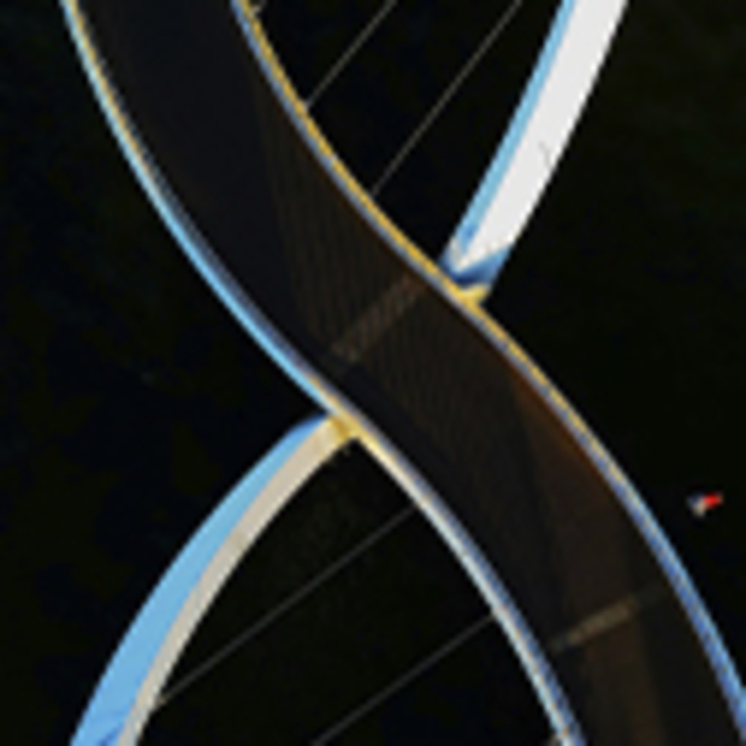 El enigma de la herencia ¿Por qué nos parecemos a nuestros padres?