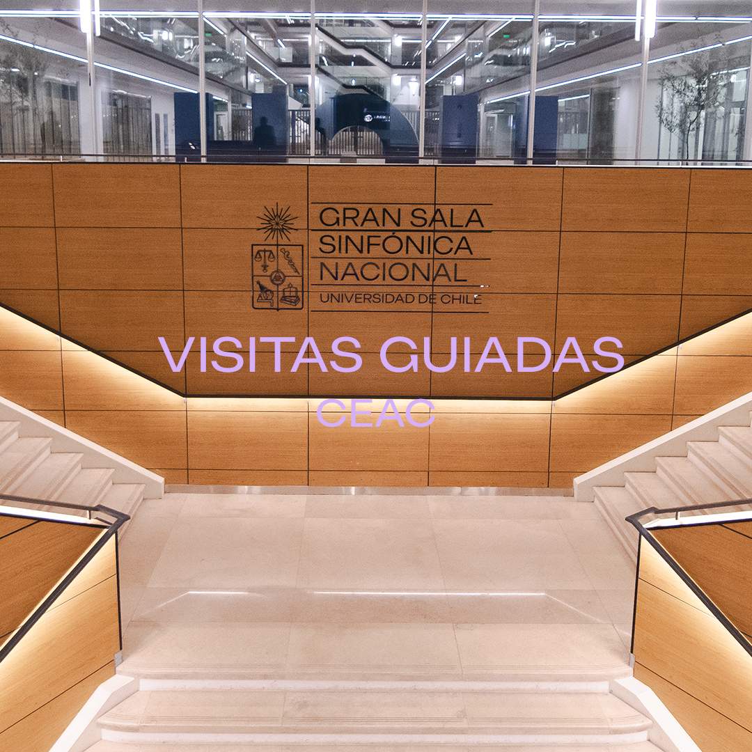 Visitas guiadas / Gran Sala Sinfónica Nacional / Complejo Universitario Vm20