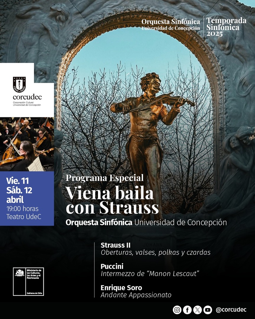 Viena baila con Strauss