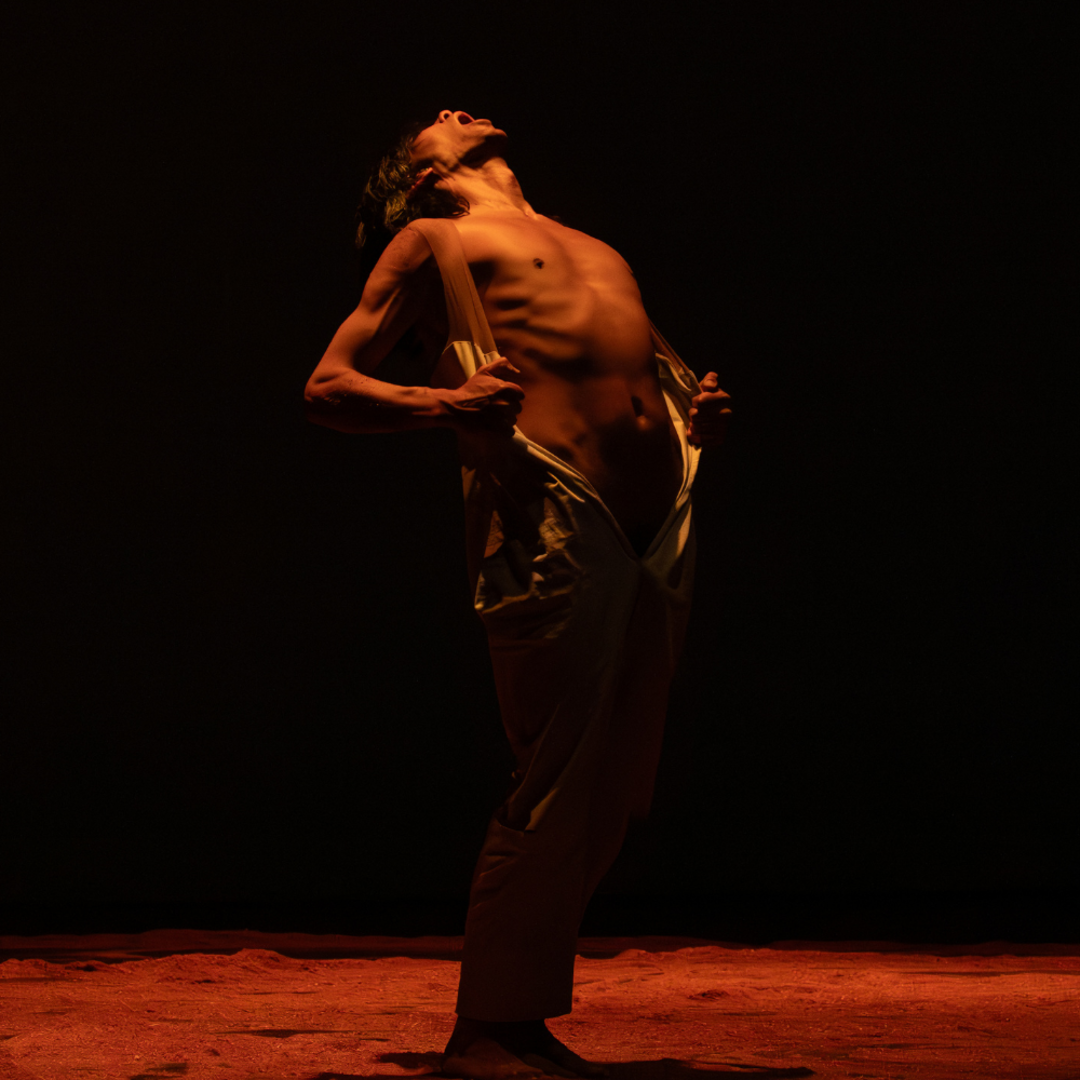 ALEERSE - Festival Movediza 