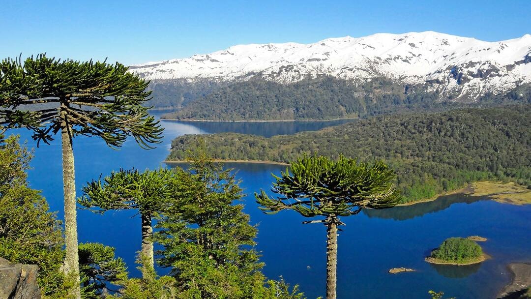 PARQUE NACIONAL CONGUILLÍO