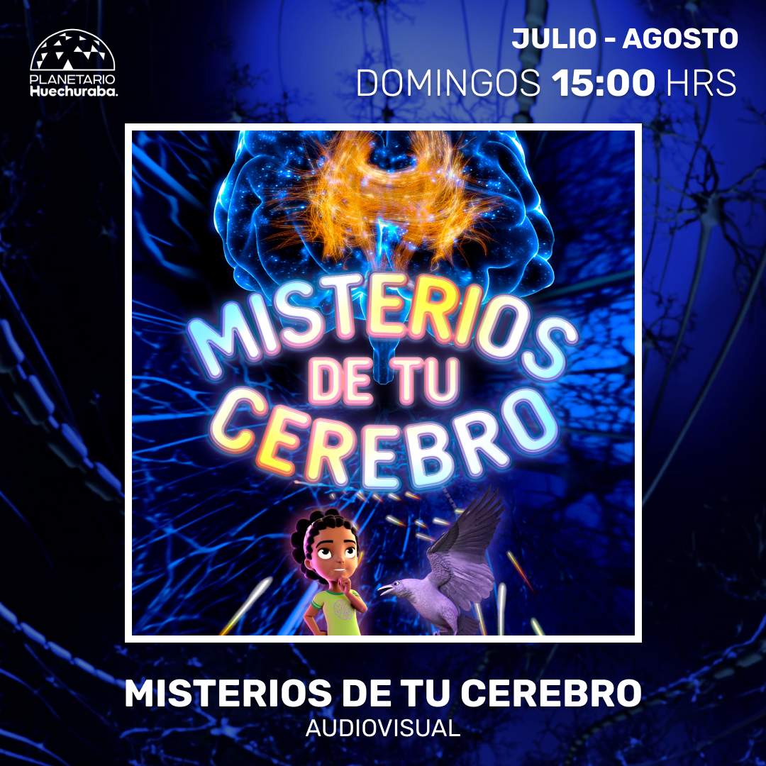 MISTERIOS DE TU CEREBRO