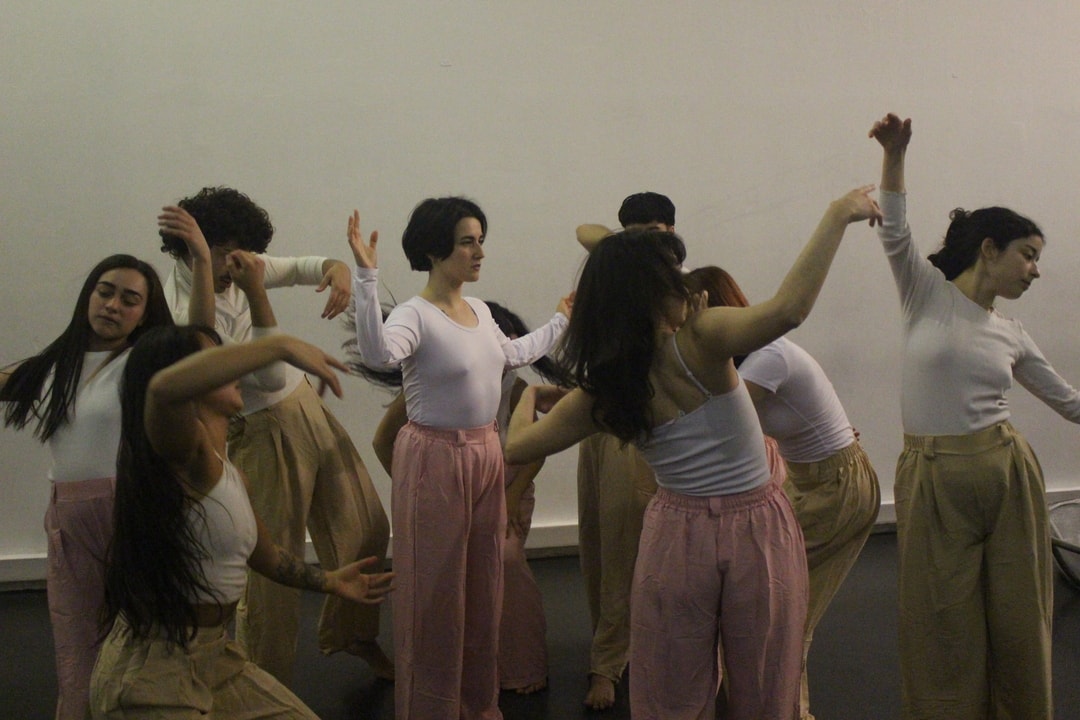 Proyecto Egresados U. Chile