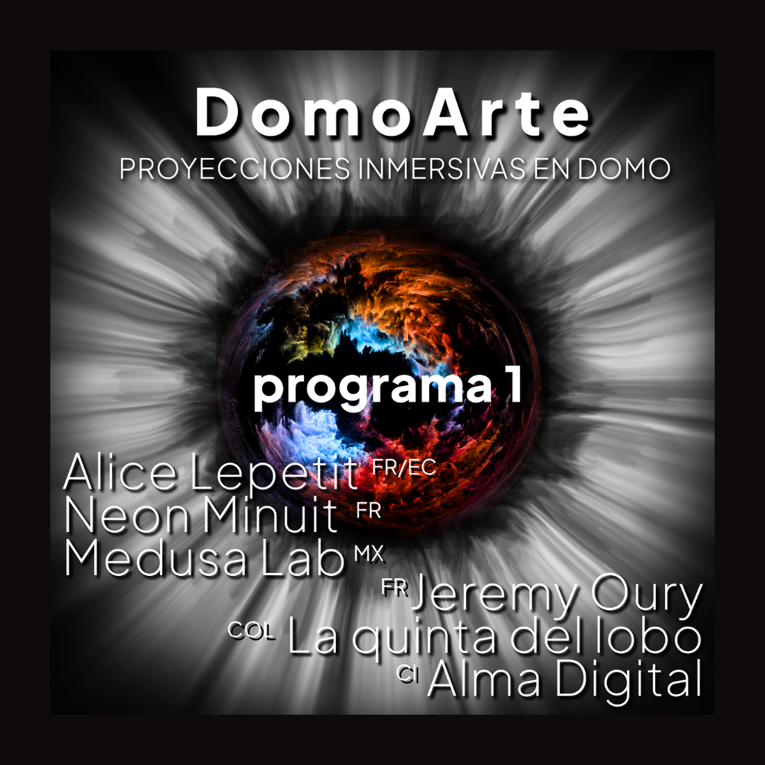 FESTIVAL INTERNACIONAL DOMO ARTE PROGRAMA 1
