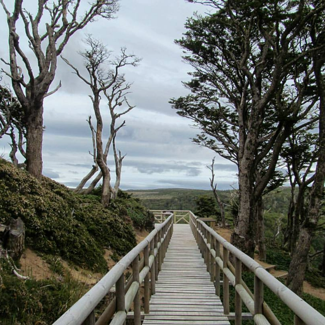 RESERVA NACIONAL MAGALLANES