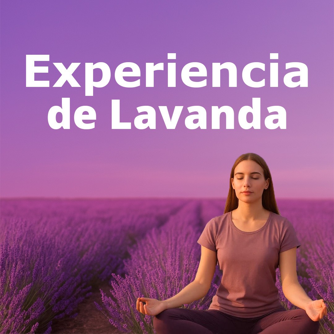 Experiencia de Lavanda