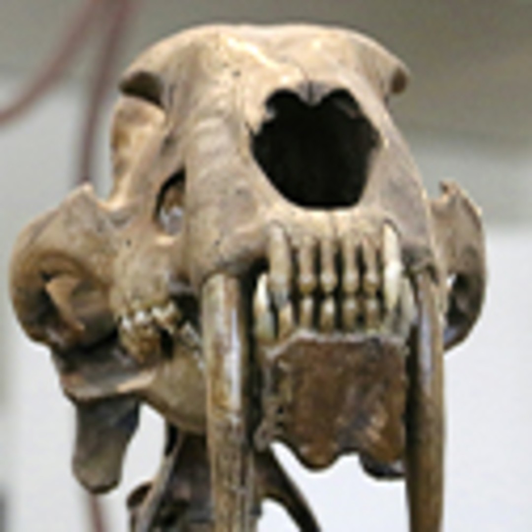 La odisea de los dinosaurios