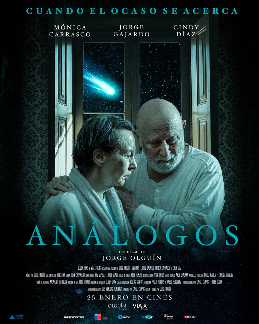 Análogos