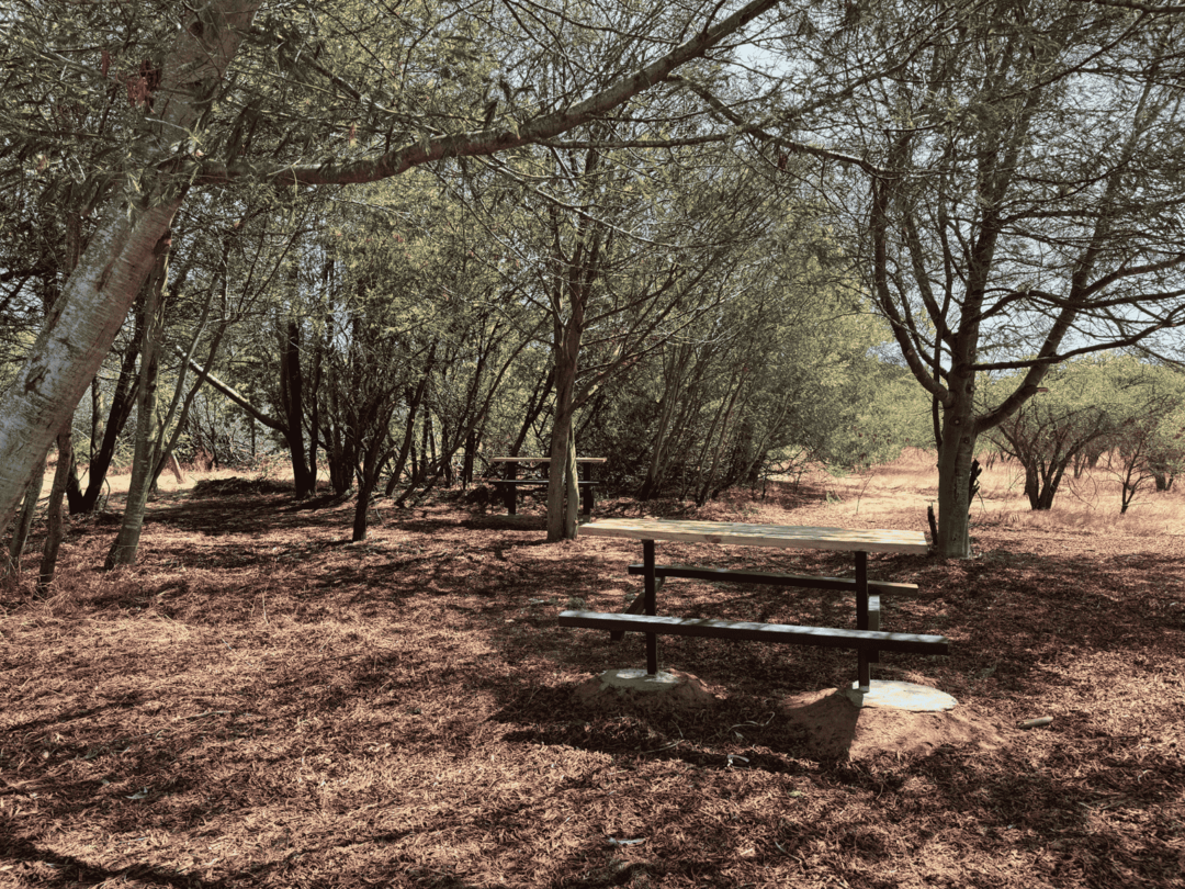 Reserva Nacional Lago Peñuelas - Sendero Los Coipos 