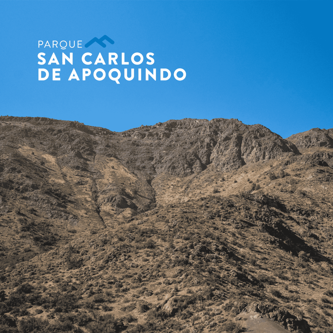 Parque San Carlos de Apoquindo