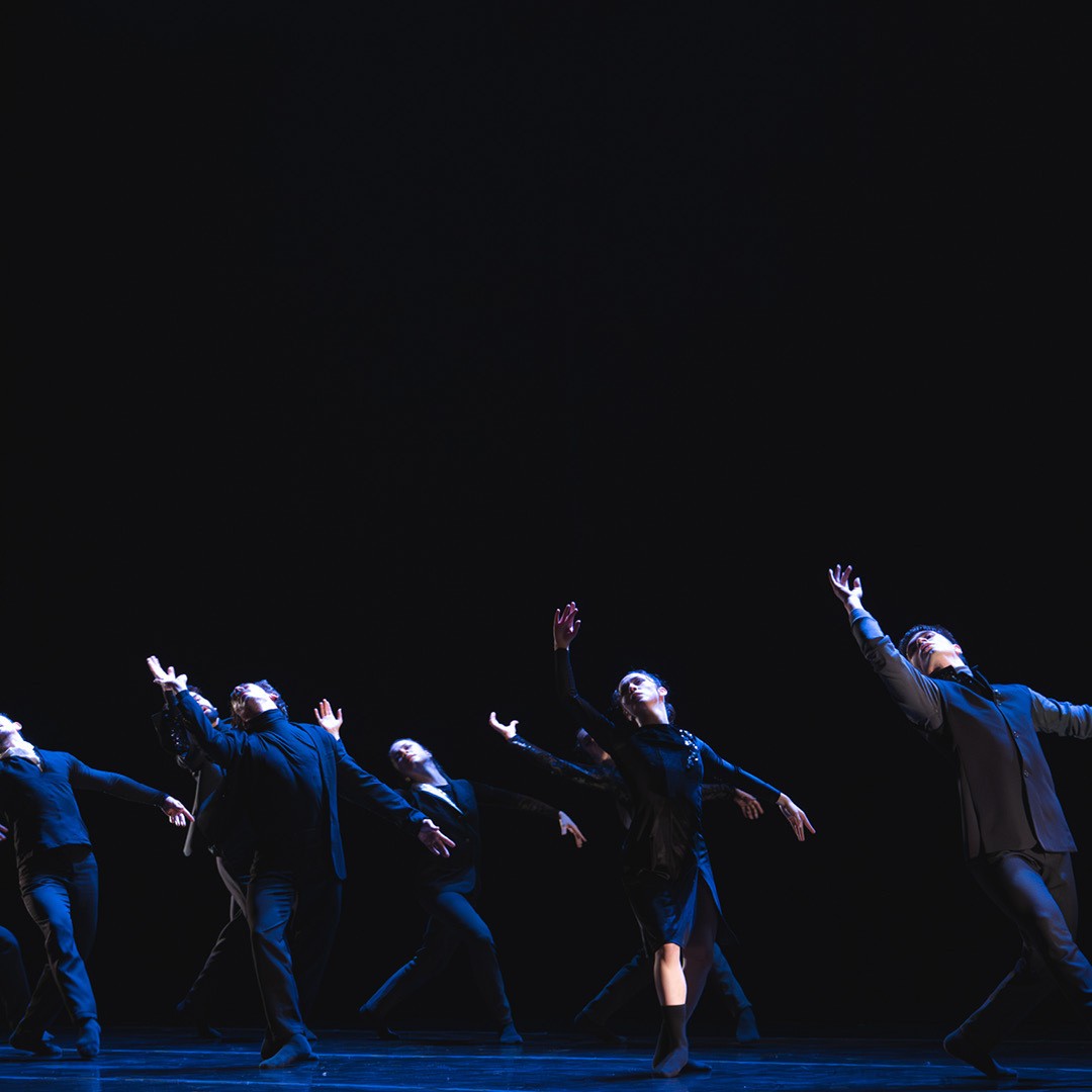 Ciclo N°2 - Nueva creación