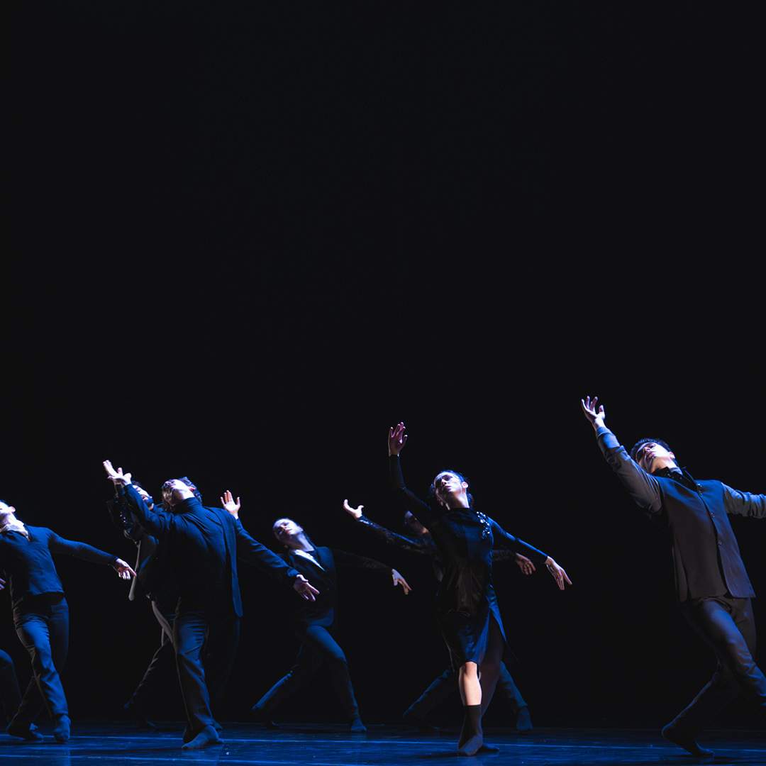 Ciclo N°2 - Nueva creación