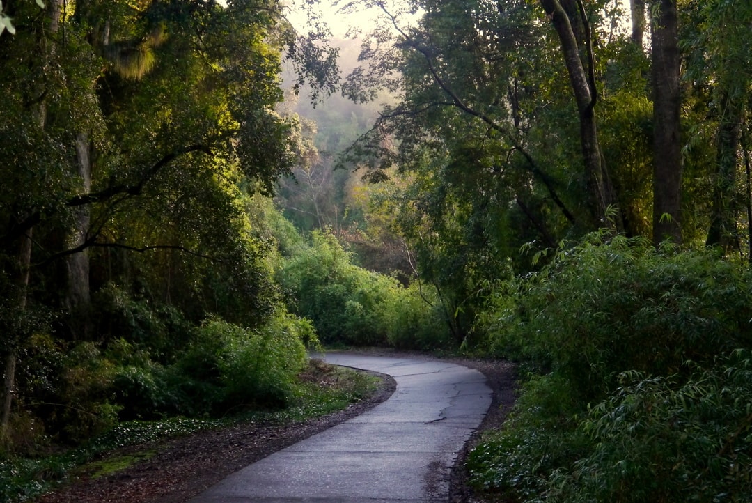 MONUMENTO NATURAL CERRO ÑIELOL