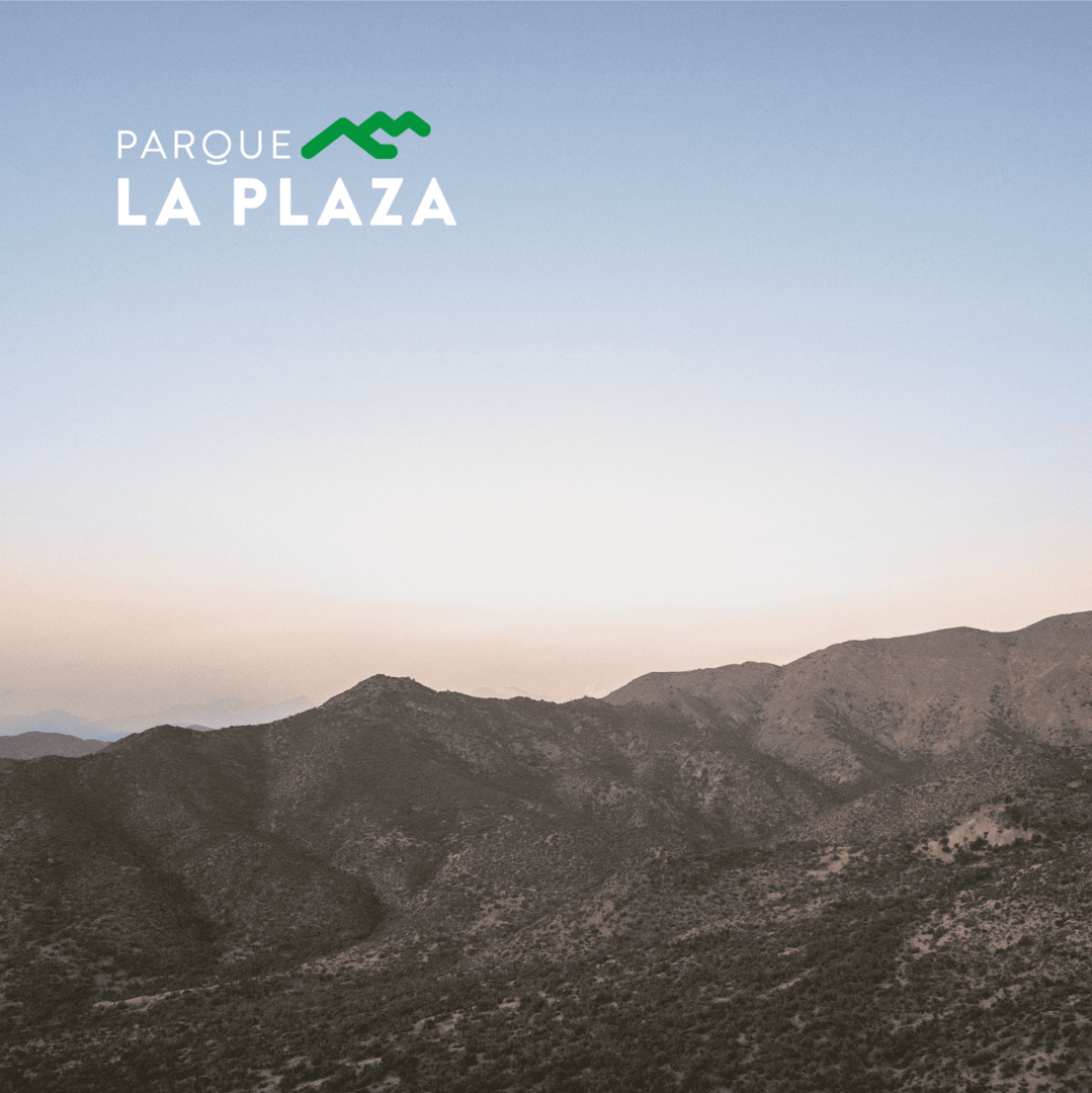 Parque La Plaza