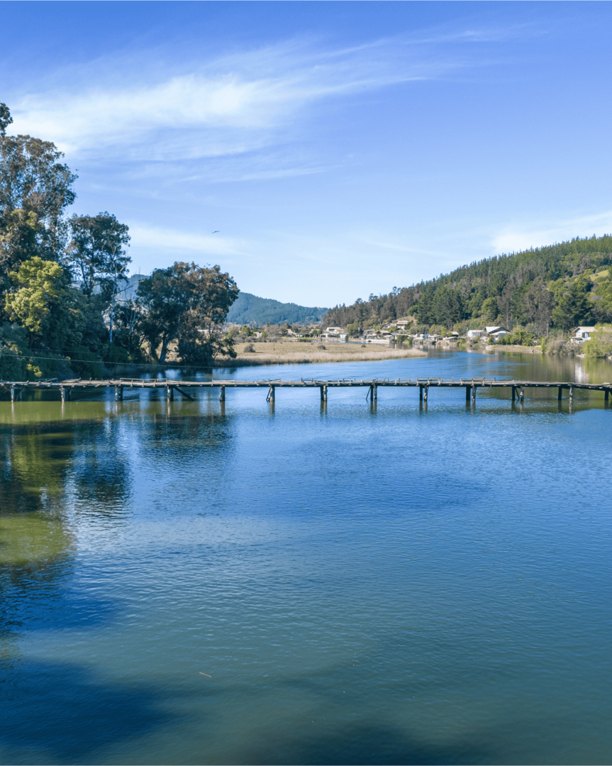 Reserva Nacional Laguna Torca