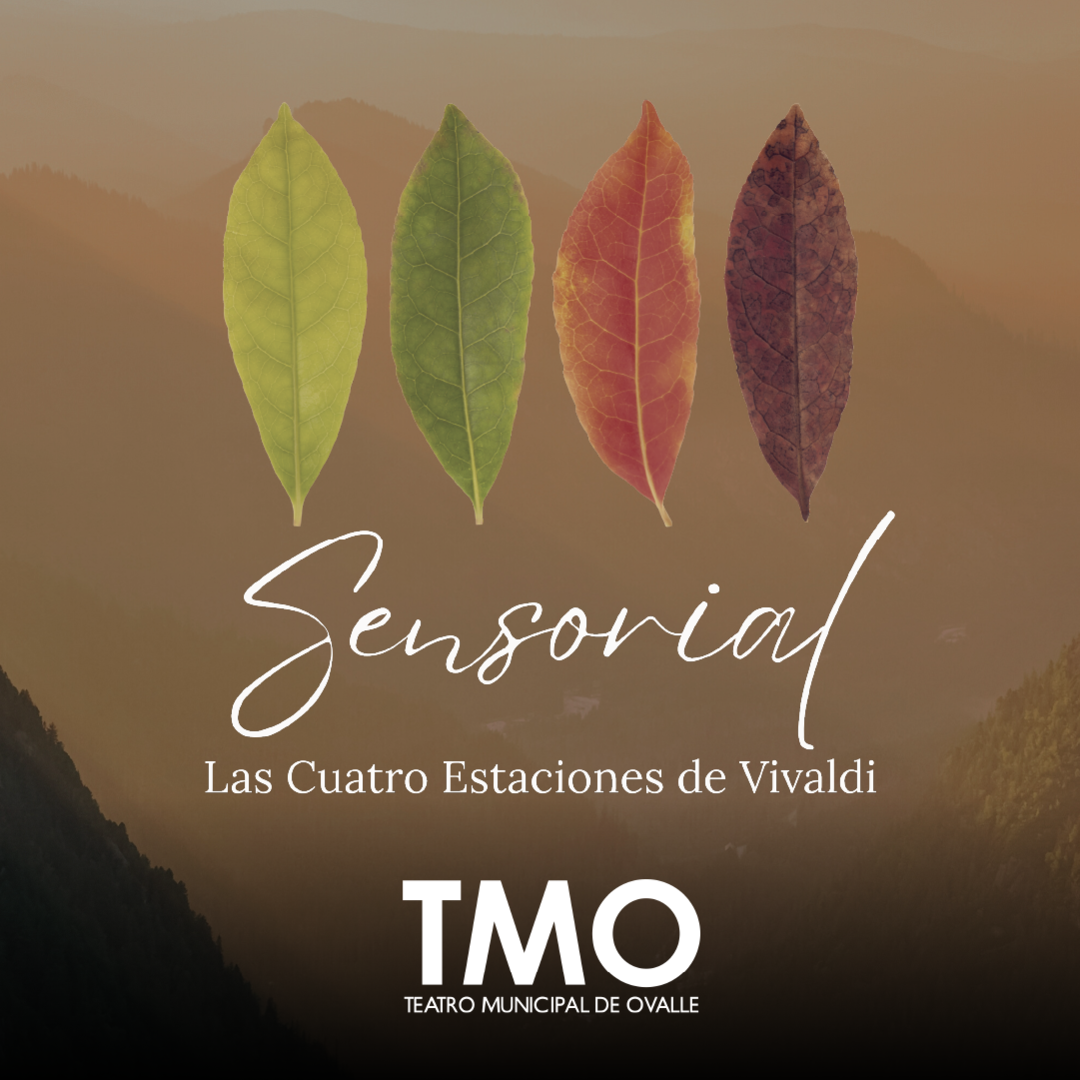 Sensorial: Las cuatro estaciones de Vivaldi