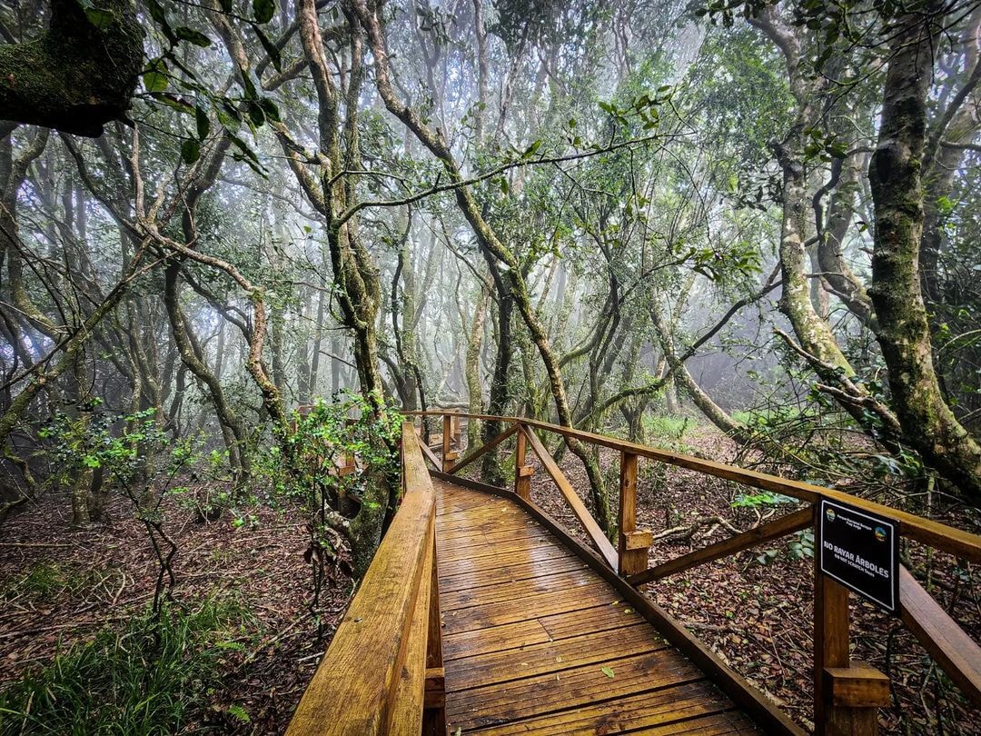Entradas para PARQUE NACIONAL BOSQUE FRAY JORGE - Pases Parques