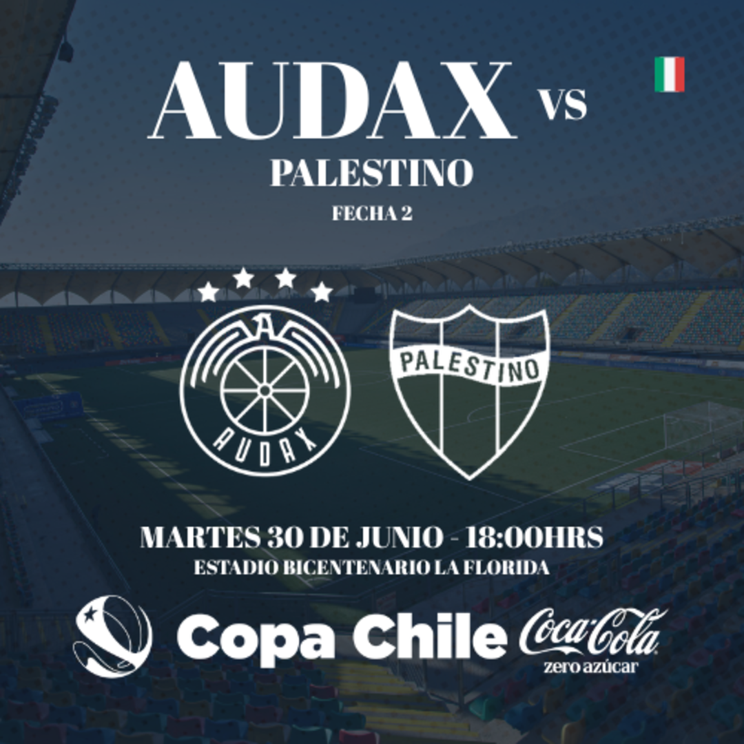 Audax Italiano vs Palestino / Copa Chile CocaCola Zero Azucar / Fecha 2