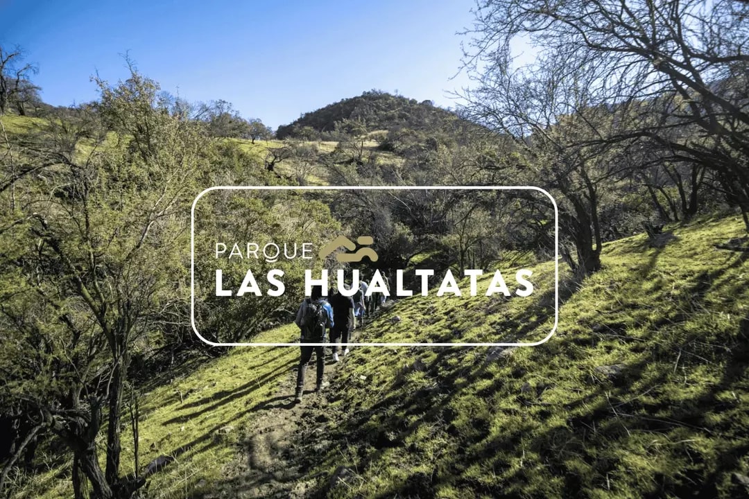 Parque Las Hualtatas