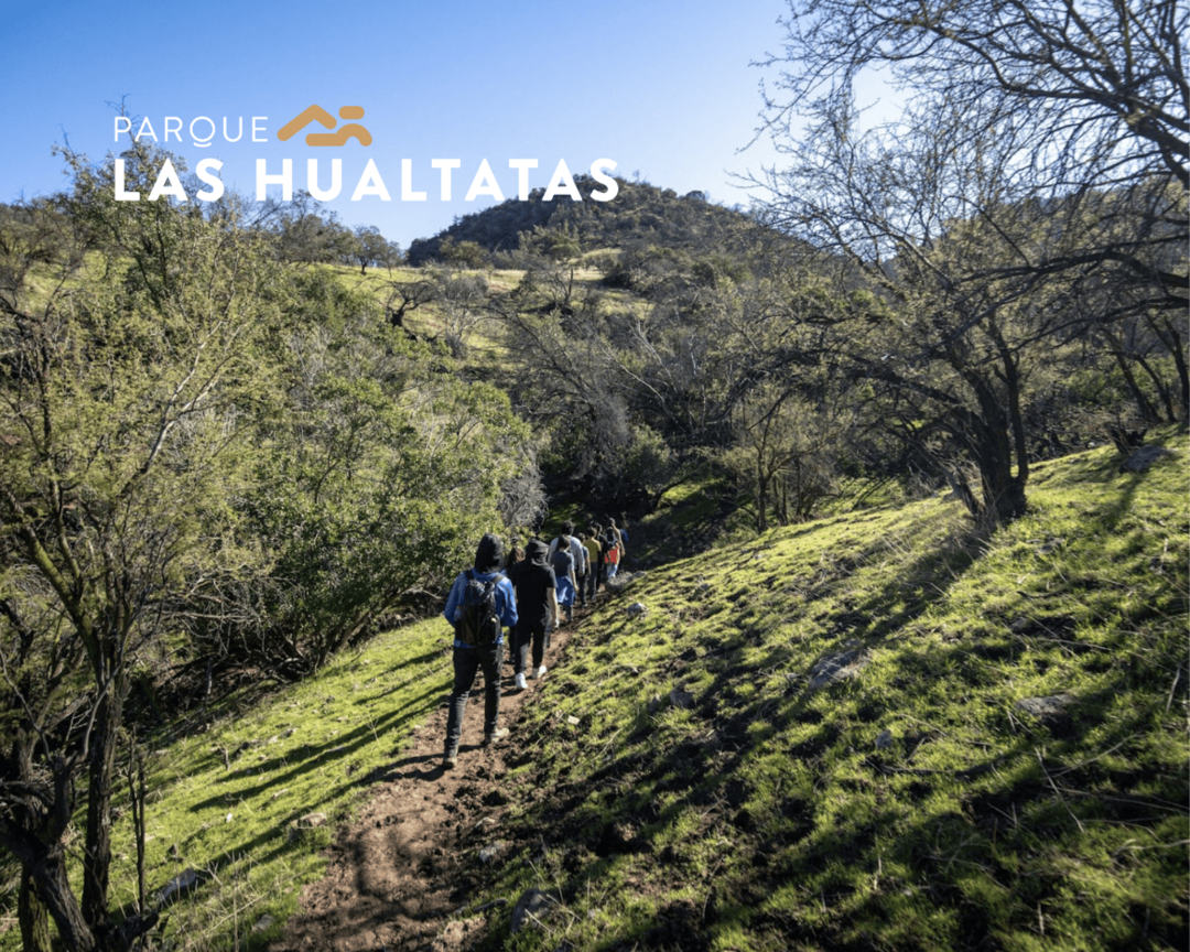 Parque Las Hualtatas