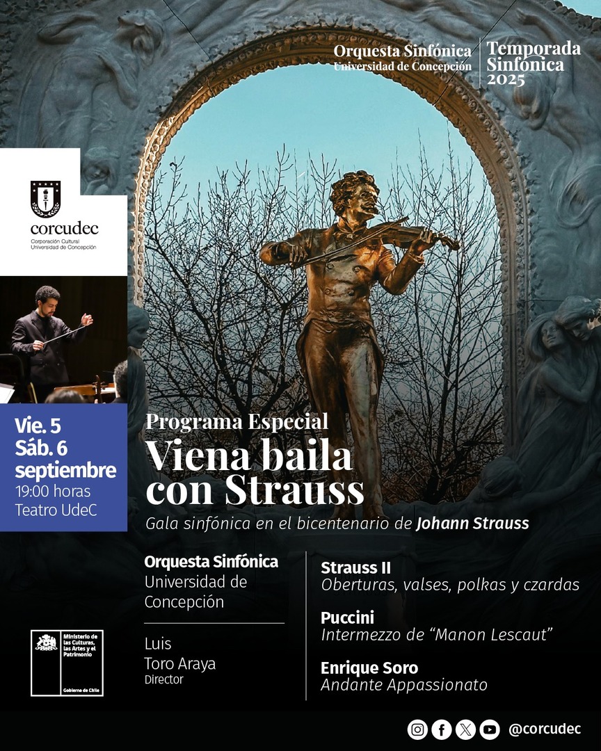 Viena baila con Strauss