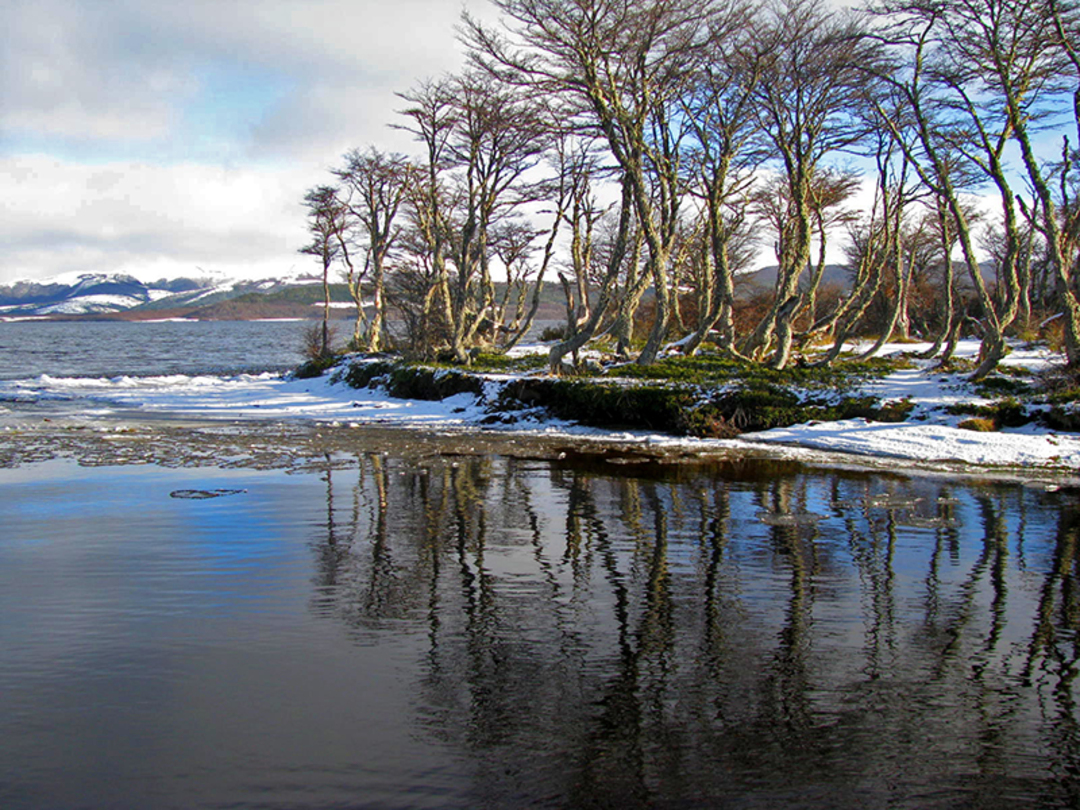RESERVA NACIONAL LAGUNA PARRILLAR