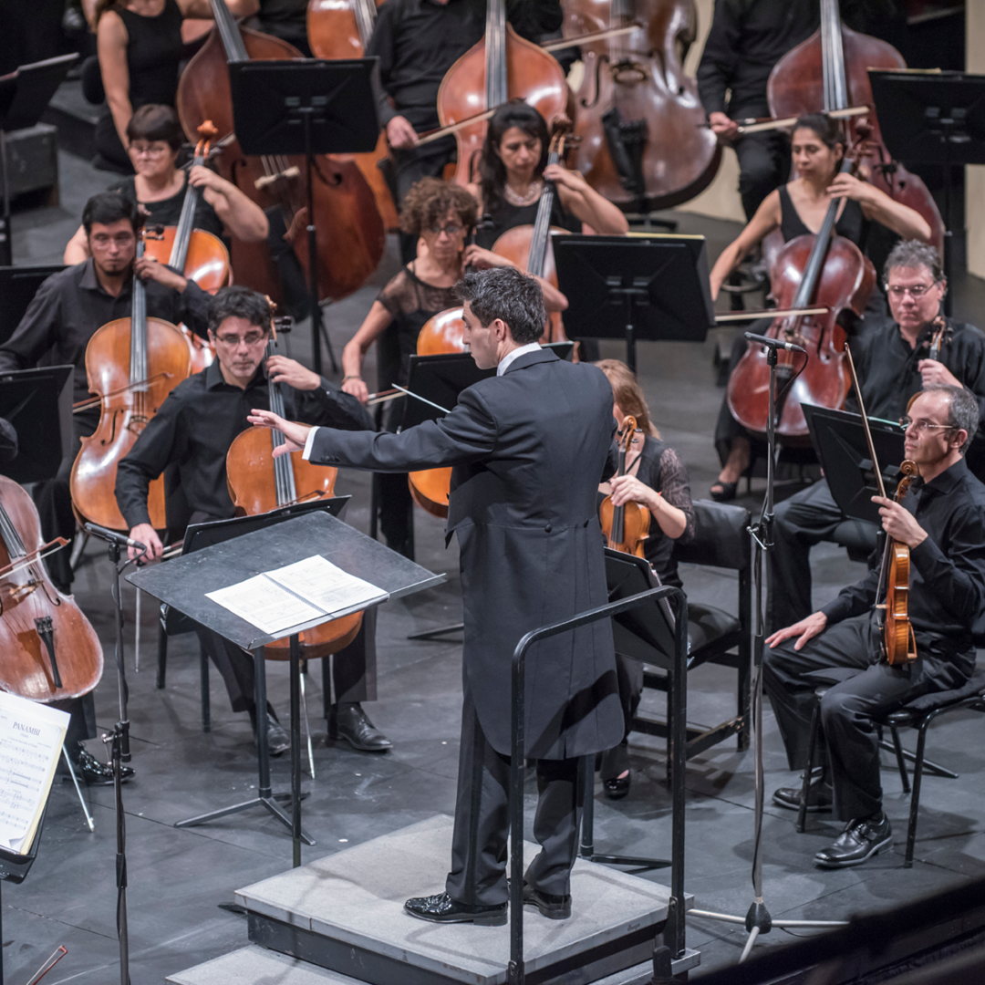 Concierto: "Ecos de tradición" / Bartók - Brantmayer - Debussy