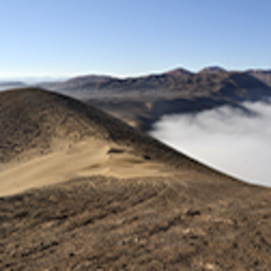 El universo oculto del desierto