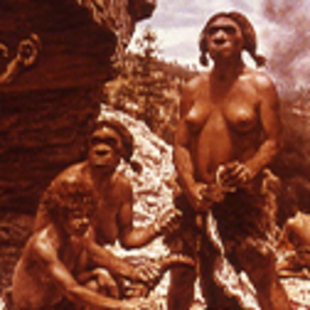 De los neandertales al COVID-19. La evolución del genoma humano