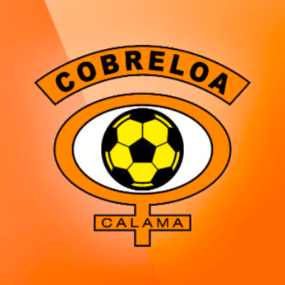 Socios Cobreloa 