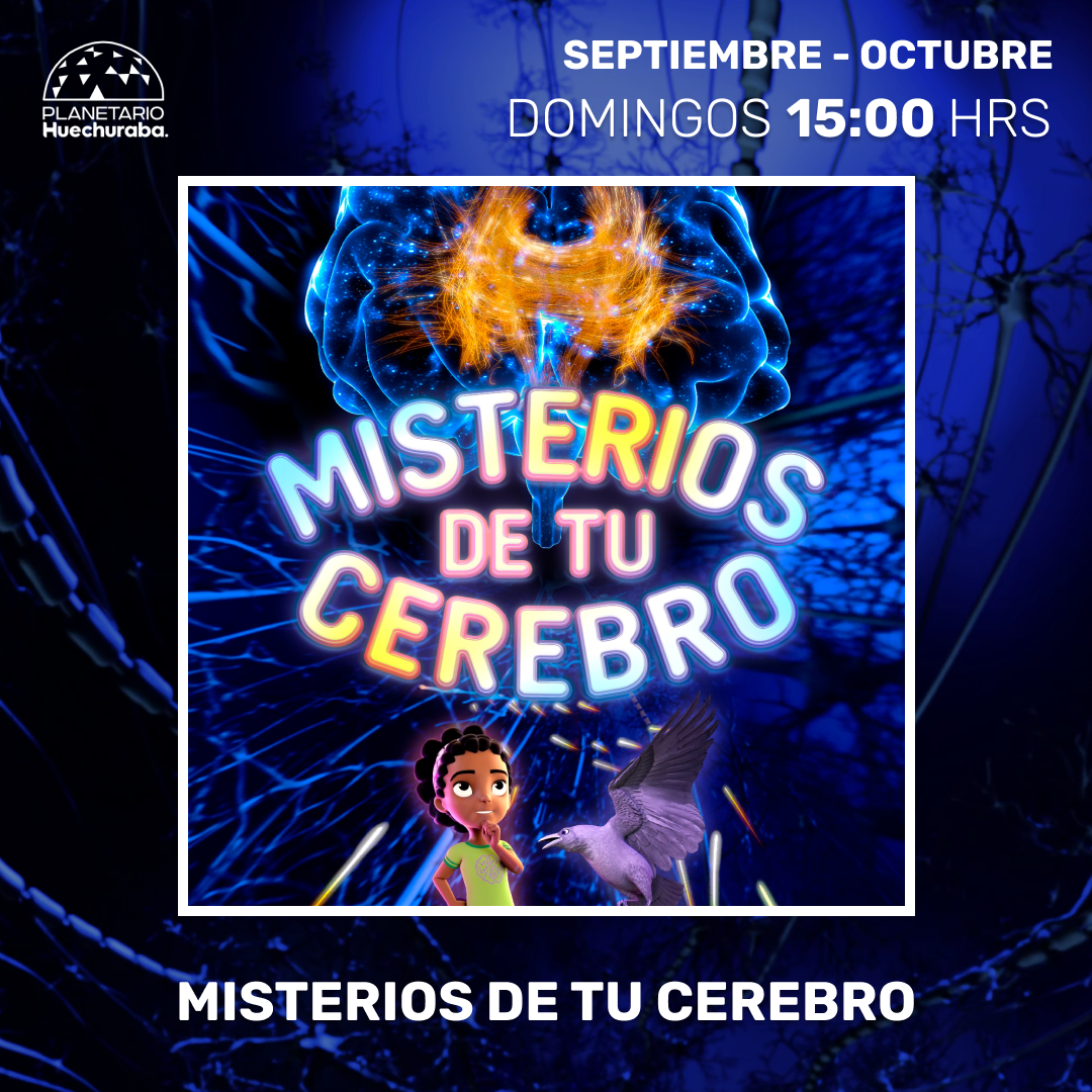 MISTERIOS DE TU CEREBRO