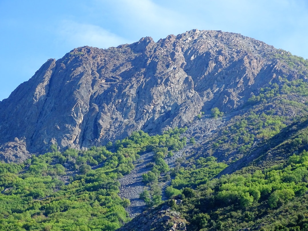 Parque Nacional La Campana Sendero Cumbre