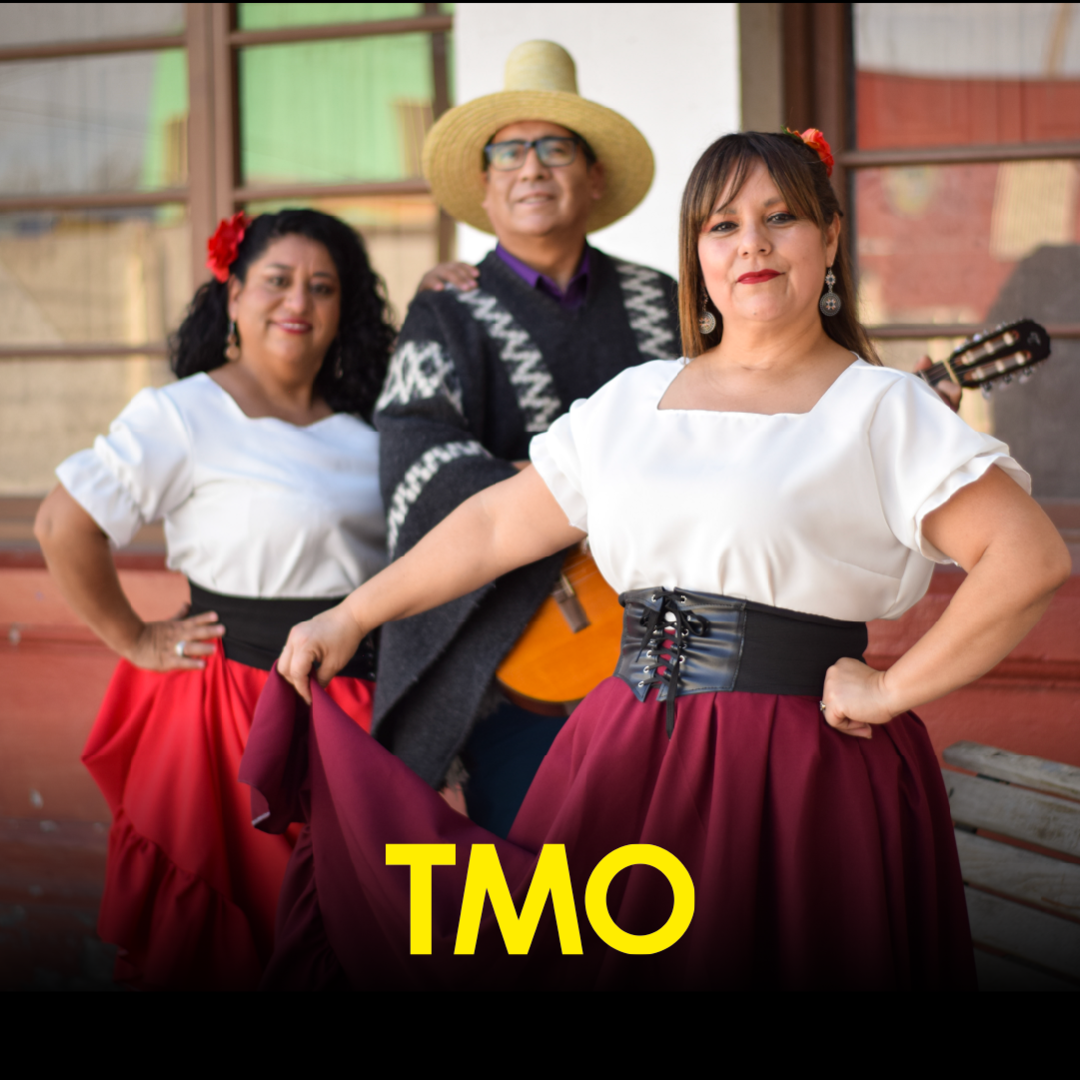 Bajo el Cielo del Limarí: Chingana Campesina de Ovalle