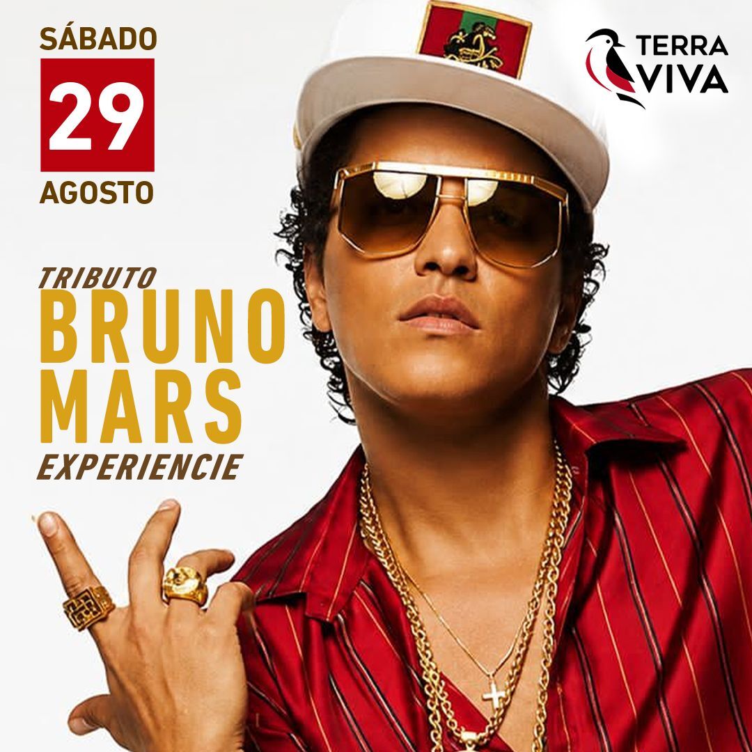 Bruno Mars Experience en Terra Viva 