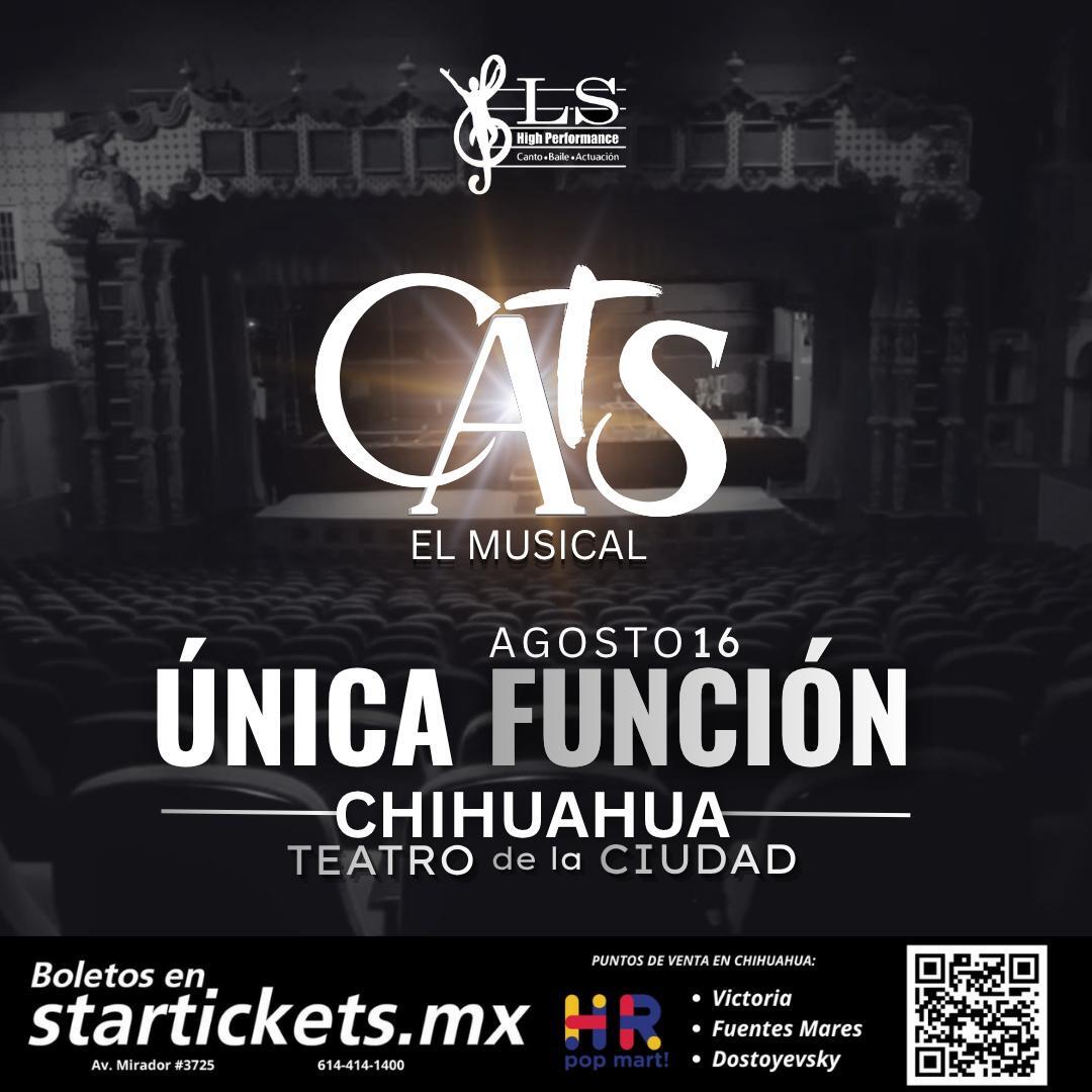 CUU - CATS EL MUSICAL