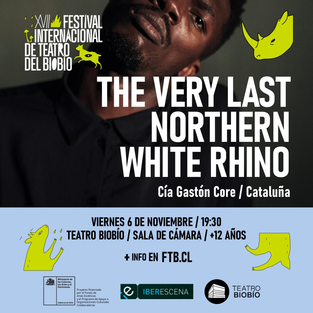 The very last northern rhino: Festival Internacional de Teatro del Biobío