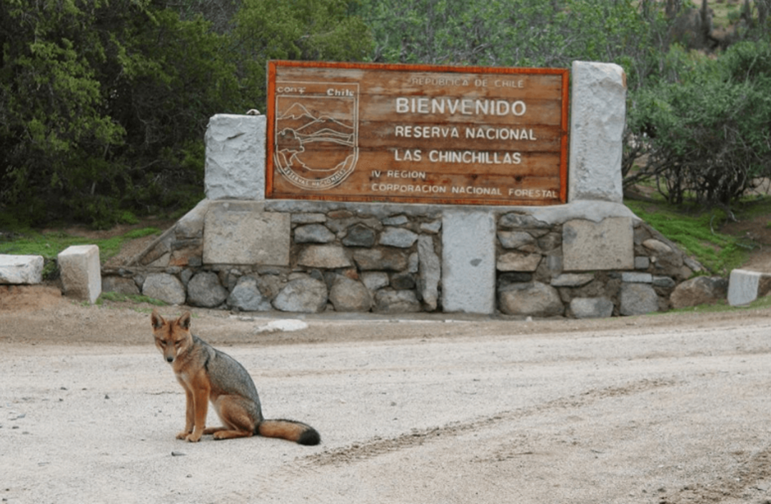 RESERVA NACIONAL LAS CHINCHILLAS