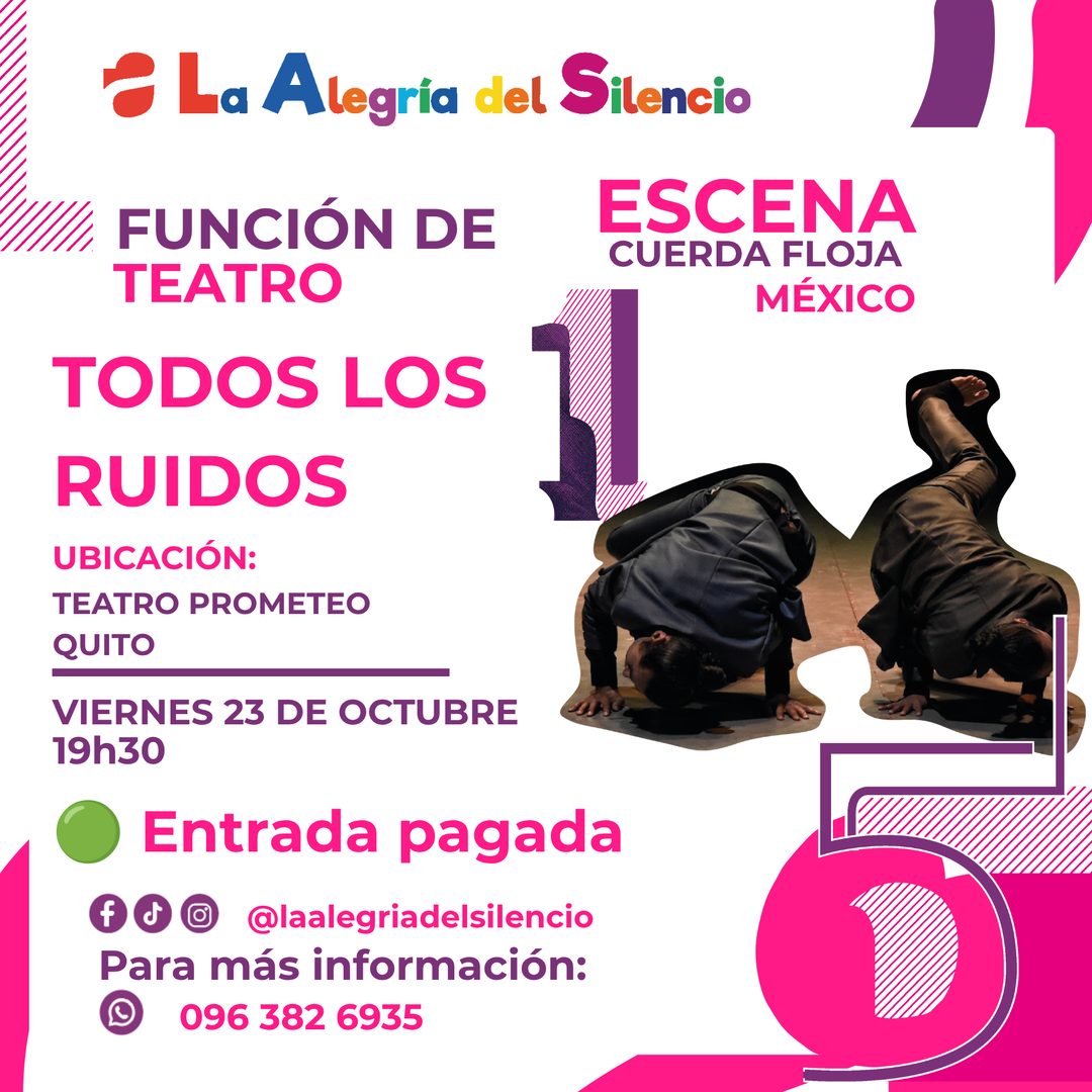 FUNCIÓN DE TEATRO "TODOS LOS RUIDOS" 