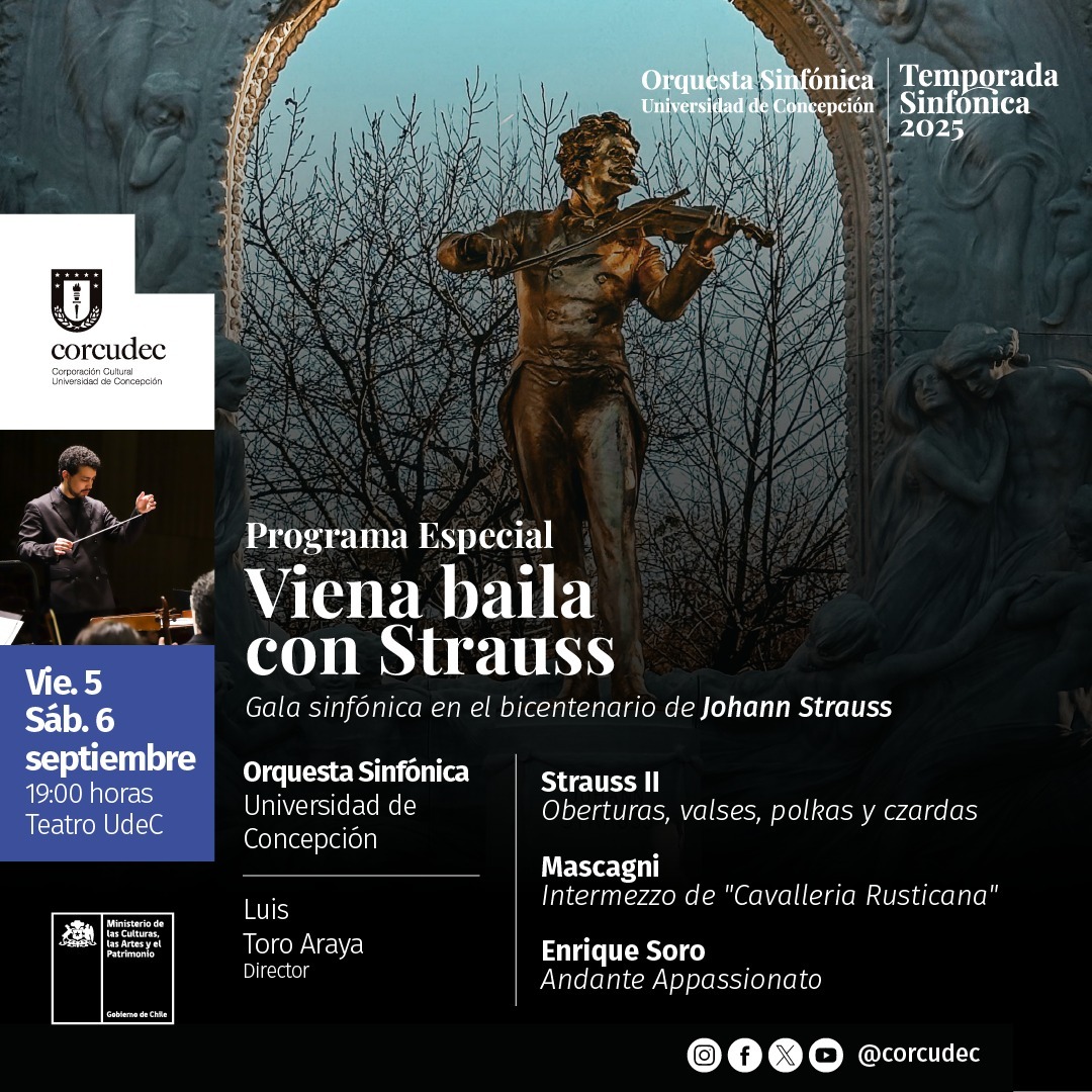 Viena baila con Strauss