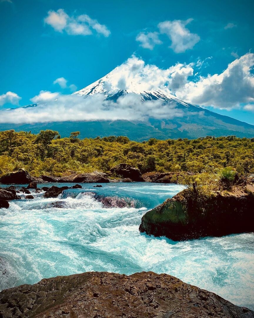 PARQUE NACIONAL VICENTE PÉREZ ROSALES