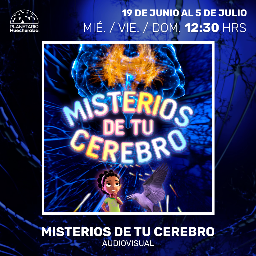 MISTERIOS DE TU CEREBRO