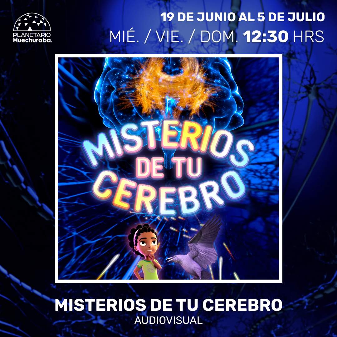MISTERIOS DE TU CEREBRO