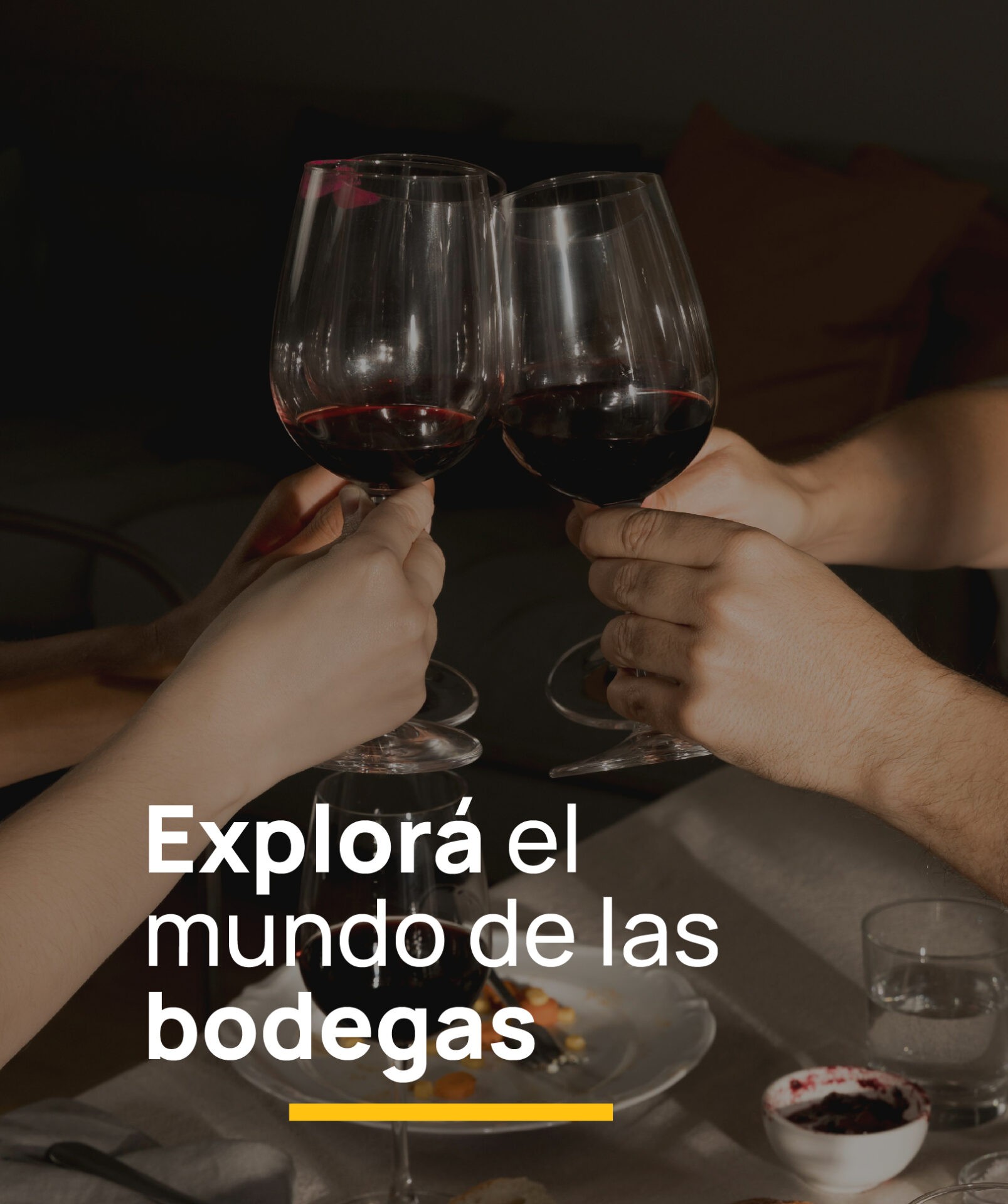 Explorá el mundo de las bodegas